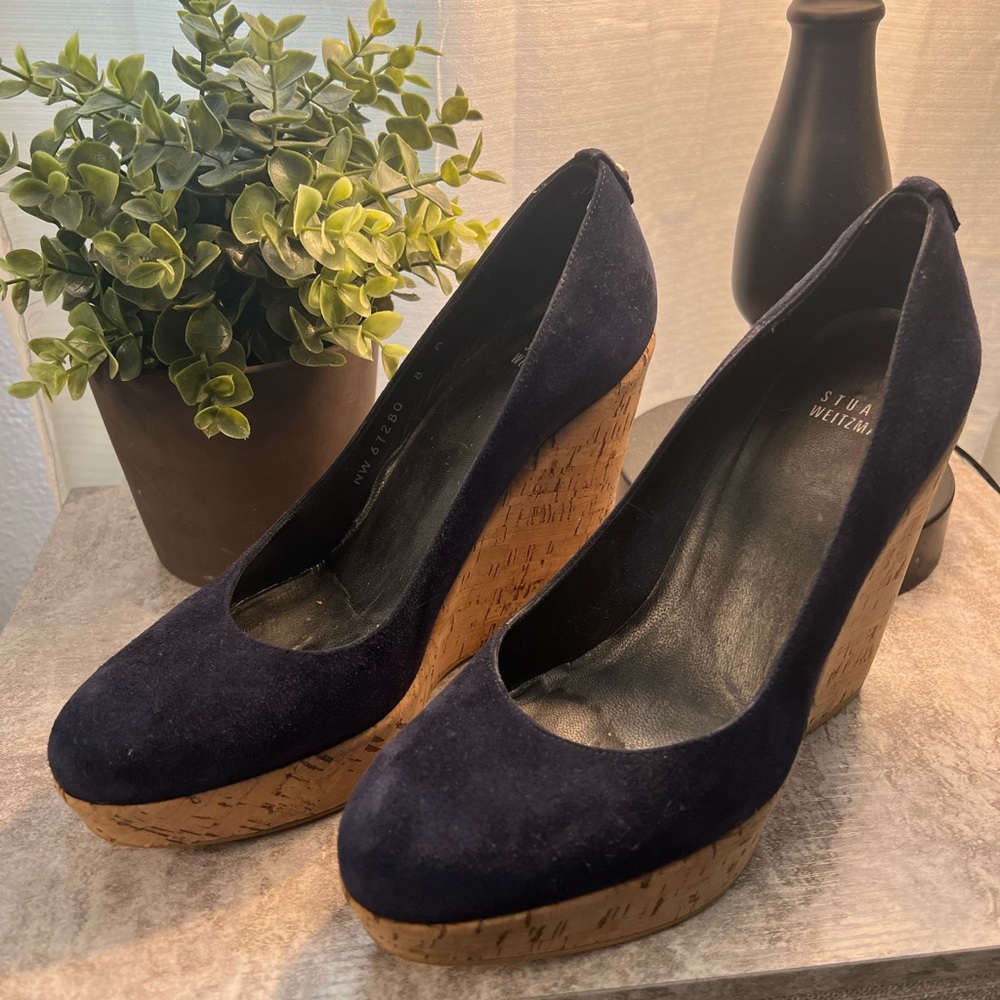 Stuart Weitzman Blue Wedges